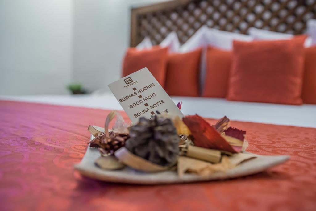 Hotel Imperial Luxury San Martín Texmelucan de Labastida Extérieur photo